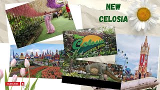 Celosia Bandungan Semarang viral. Review wisata Taman Bunga Celosia harga tiket terbaru 2023