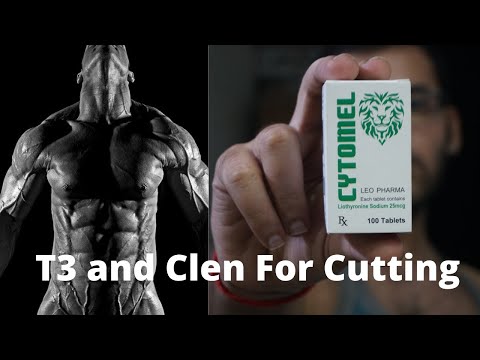 T3 ( Cytomel) and Clenbuterol For Fat Loss In Hindi