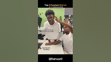 Top 3 Funniest Bird on Arm Moments! #shorts #birds #funny