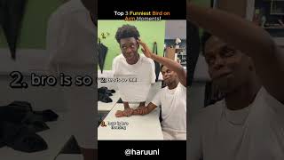 Top 3 Funniest Bird on Arm Moments! #shorts #birds #funny