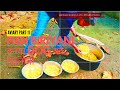 FISH BIRIYANI बिरियाणी बनाया ओर dogs को खिलाया #aviary #pets #बिर्याणी #biriyani #kennelvideo #india