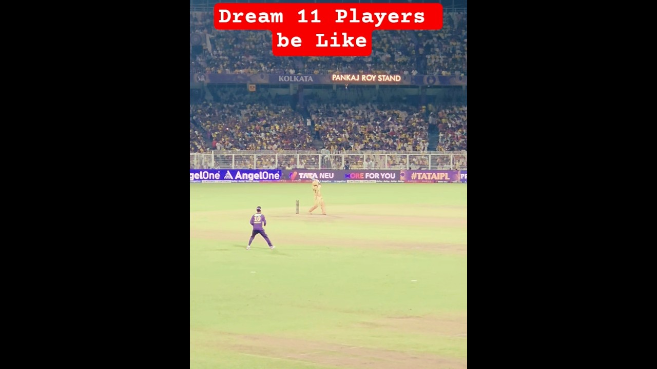 Dream 11 Player 