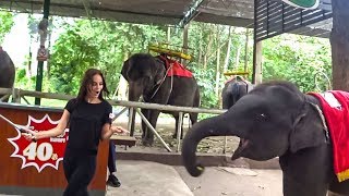 Pattaya Thailand EXCURSIONS 2019! SAFARI AND SHASHLYK FROM THE CROCODILE at the Siracha Tiger Zoo