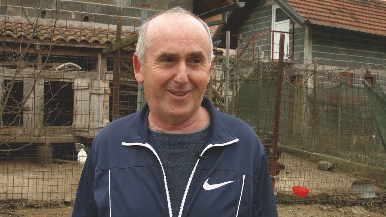 Ivicine Koke Maglaj - Prijatelji životinja