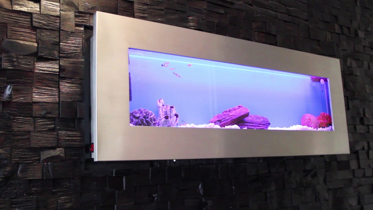 Motivatie begrijpen herstel Wand aquarium Blue Sea Beuningen NL ~ RVS wandaquarium / muuraquarium -  YouTube