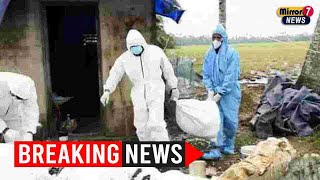Bird Flu Outbreak In Keralas Kottayam, Several Thousand Ducks Culled