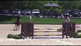 Lady Django 1.10 Amatuer May 2025