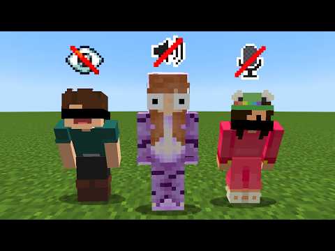 Minecraft but we're Blind, Deaf and Mute