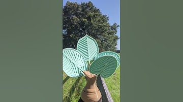 Creative Coasters 3D Printed! #shorts #cool