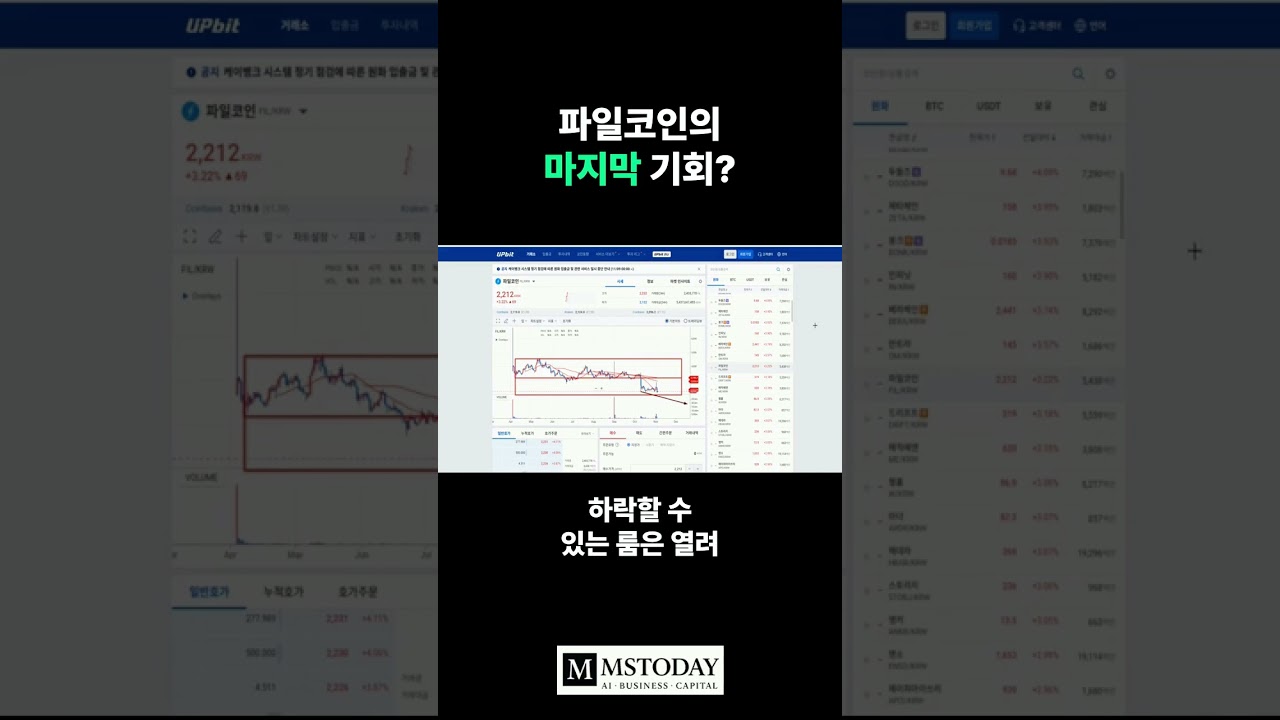 머니쇼츠-영상] 파일코인의 마지막 기회 - MS TODAY
