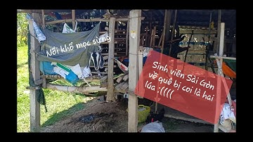 Sinh viên hơn 10 năm được về quê ngoại ở Tiền Giang bị coi là hai lúa.