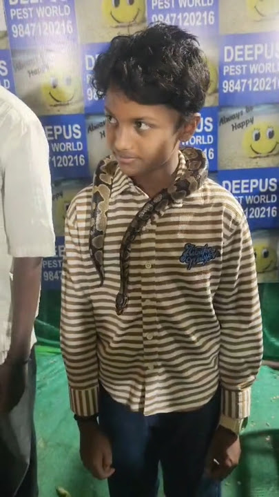 நாங்க Vibe ல மெதப்போம்💥✨ Vavubali kulitharai Exhibition #vavubali #vavubalishorts #shortsfeed #viral