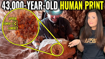 The Fingerprint That SHATTERED Everything We Knew About Humans