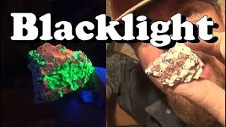 HOW TO FIND GOLD | Using a | BLACK LIGHT - ask Jeff Williams