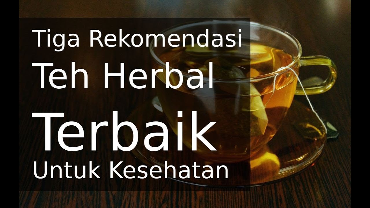3 Rekomendasi Teh Herbal Terbaik Untuk Kesehatan Diet Dan Daya Tahan Tubuh Youtube