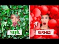 RENKLERLE SAKLAMBAÇ || 123 GO! CHALLENGE TEK RENK KULLANILAN Saklambaç Meydan Okuması