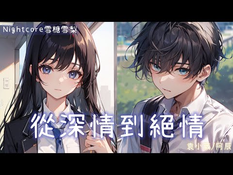 ✧ Nightcore ✧ 從深情到絕情 (lyrics) ♪ 動態歌詞 ♪