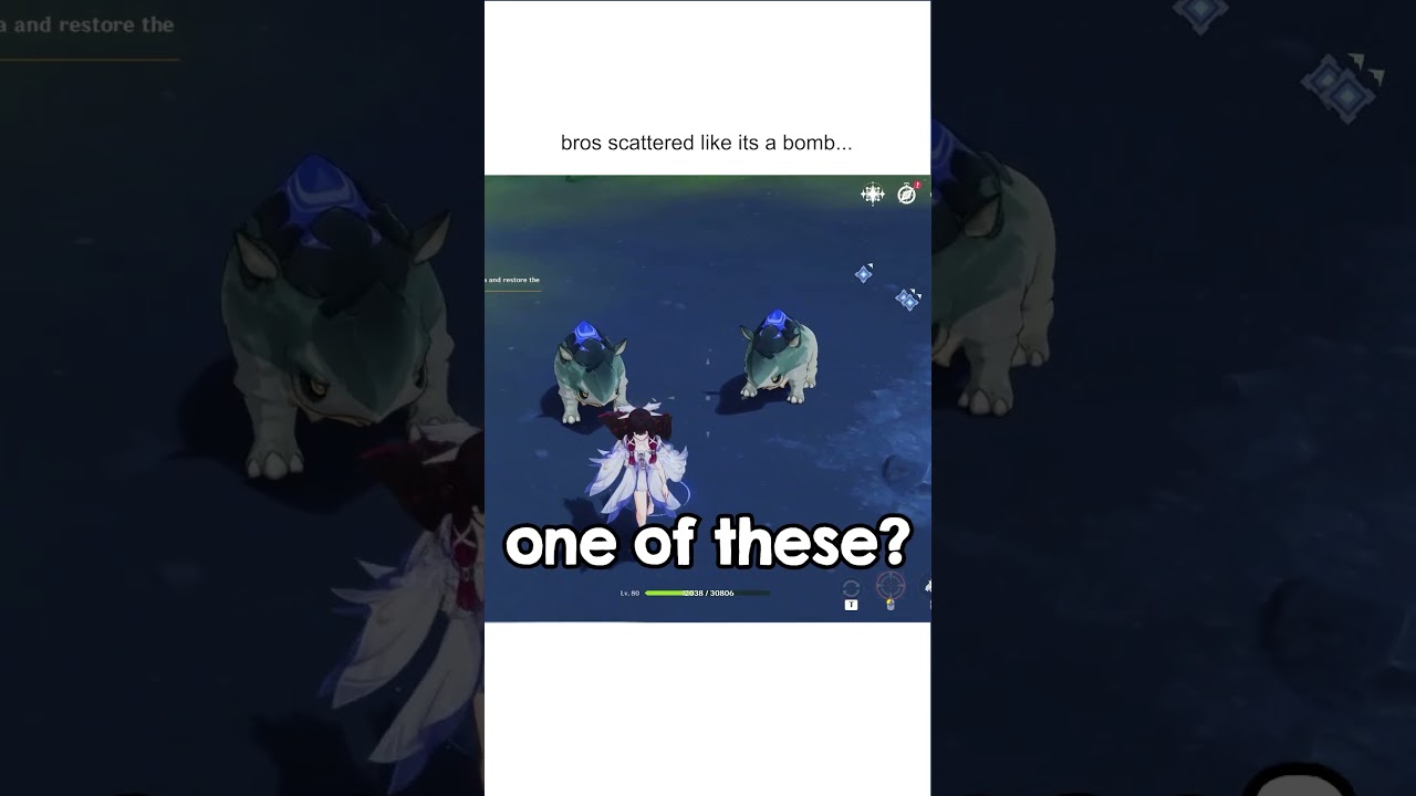 Им НЕ нужно было так бежать... 😭 