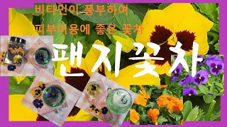 팬지꽃차만드는방법/고혈압,위장병,호흡기질환,피부미용 등에 도움 주는 꽃차