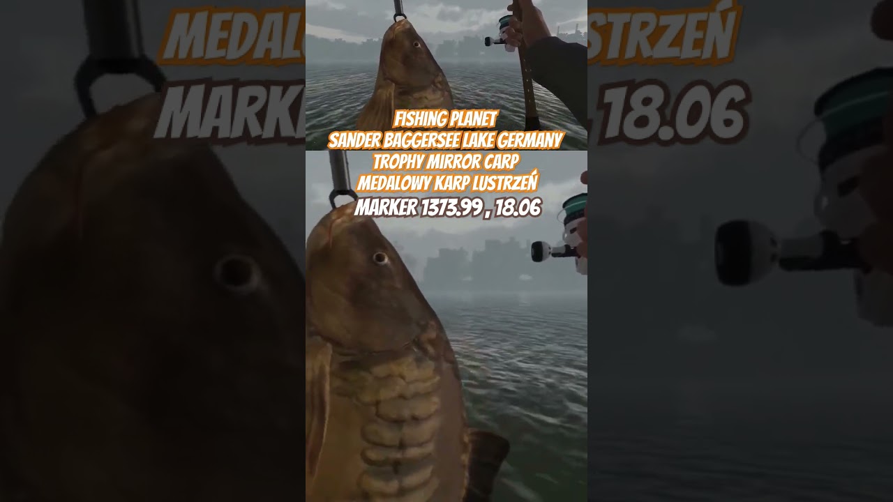 Fishing Planet Sander Baggersee Lake Germany Trophy Mirror Carp | Medalowy Karp Lustrzeń 