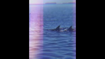 #shorts #greennature #trend #nature #fish #nature #youtube #trending