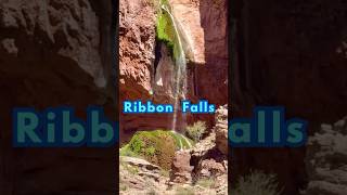 🌊 Ribbon Falls: A Hidden Oasis Deep in the Grand Canyon! 🏜️