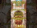 Aclamación cantada de Hoy Tono Salmódico Peregrinus del 07Jun2026.