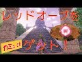 【ドラクエ11】レッドオーブをゲットしよう！【ネタバレあり】