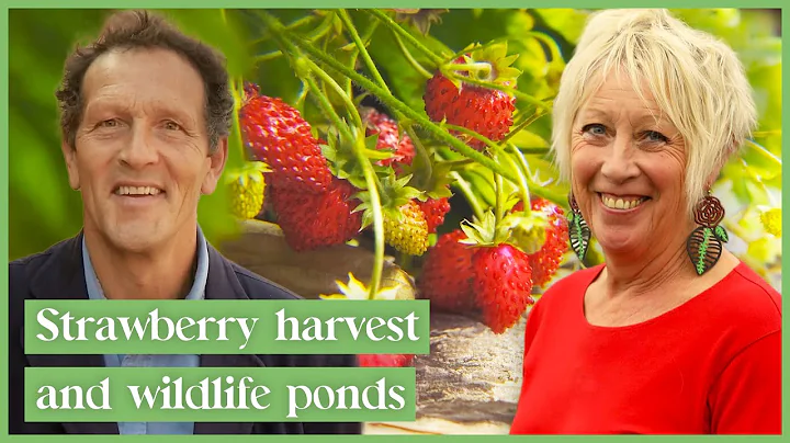 Essential Tasks To Make Your Garden POP In August! | Gardener's World thumbnail