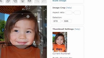 AnythingSlider for WordPress Plugin Tutorial