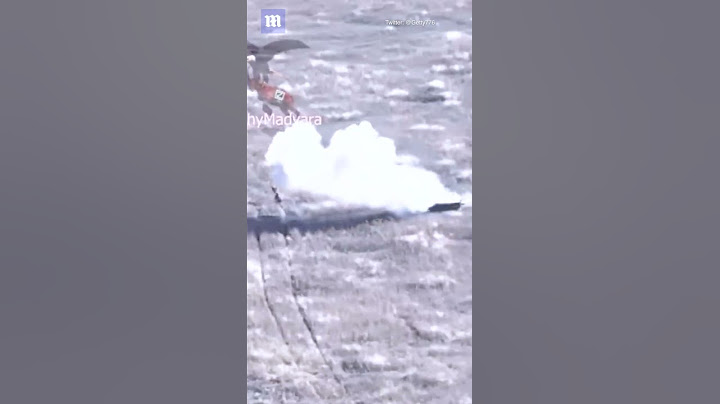 Russian soldiers fail to protect their BMP tank with rifles as Ukrainian FPV drone strikes