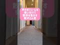 柴犬とん君は、「はやく」を広島弁の「はよ」で表現するよ #柴犬 #柴犬とん