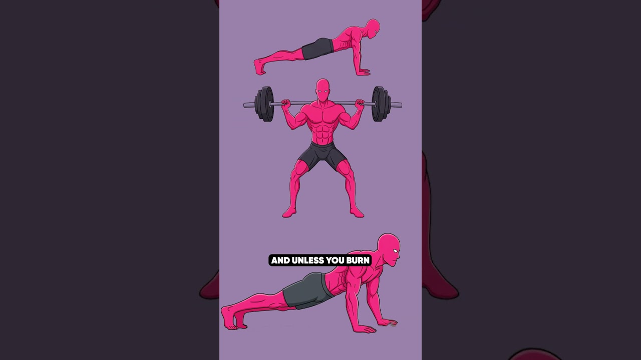 Why are you not losing belly fat?