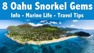 Our TOP 8 Oahu Snorkel Spots  Everything you need to know!