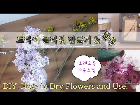 [드라이플라워]예쁘게 만들고 활용하기💮가을느낌 그대로/DIY. How to Dry Flowers and Use.