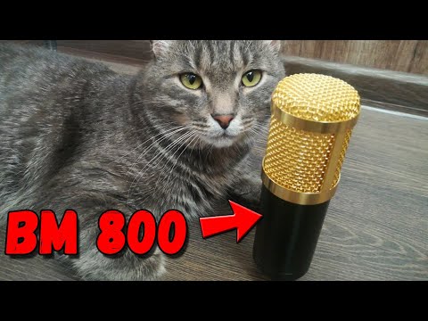BM 800. Обзор микрофона за 1000 РУБЛЕЙ