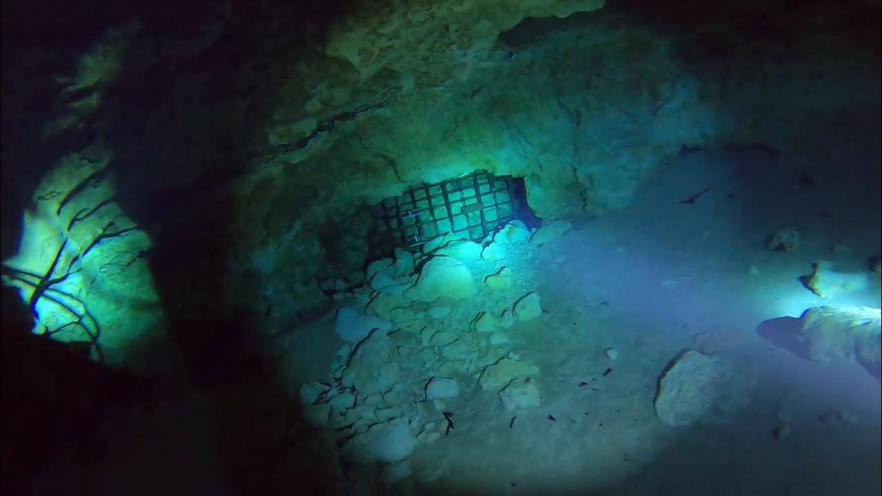 Ginnie Springs Ballroom YouTube