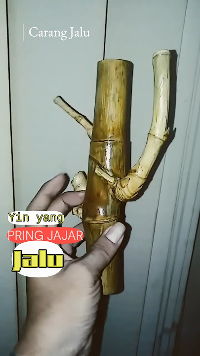 Carang Jalu 3 pakem #viral #short #shorts #bambuunik #batuhijau #popular #trending #batugiok #bacan