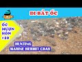 Ốc mượn hồn #10 - Đi bắt ốc mượn hồn ở Vũng Tàu (Hunting hermit crab at Vung Tau)