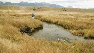 Wild Trout  A Montana Fish Story  Trout Unlimited