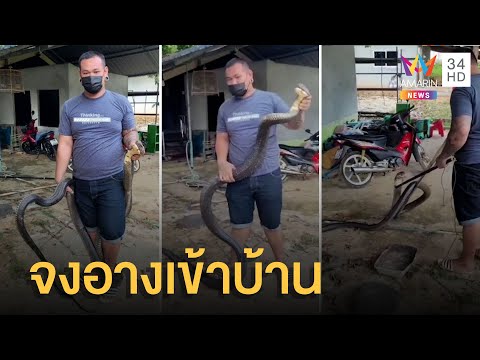 วีดีโอ: บ้านสั้นคืออะไร?