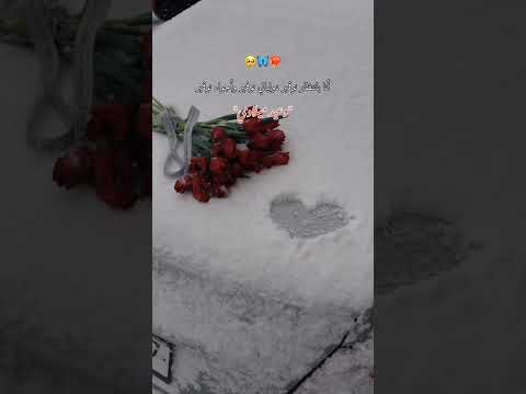 أنا بأنتظار نوفمبر عبارات جميله بدون موسيقى ستوريات مارني اكسبلور لايك