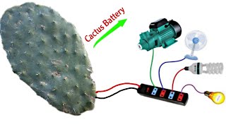 I Turn Cactus into a Free 12v Battery, Future science by Rida Inventor 7,517 views 4 months ago 12 minutes, 55 seconds