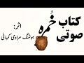 کتاب صوتی خمره اثر هوشنگ مرادی کرمانی 