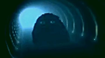 If Angry Munci gets me the video ends