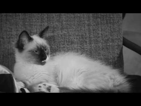 Amy Sleeping 02 - Amy Sleeping 02