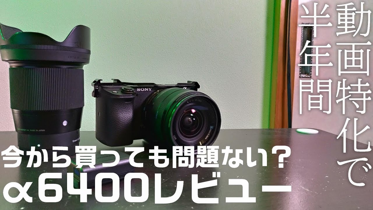✨届いたらすぐに使えます✨SONY α550✨ シングルレンズ✨簡単操作✨ ✨お手軽に一眼レフを始めよう✨SONY α550✨ シングルレンズ