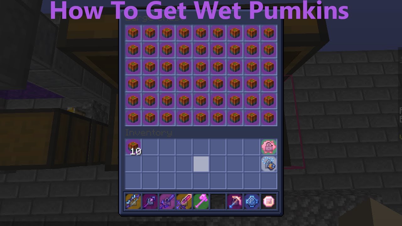 How To Get Wet Pumpkins (Hypixel Skyblock) YouTube