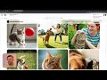 How to use Strapi AI with v0 [ Example ]
