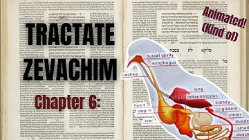 An Animated Summary of the Entire Talmud | Book 30, Chapter 6